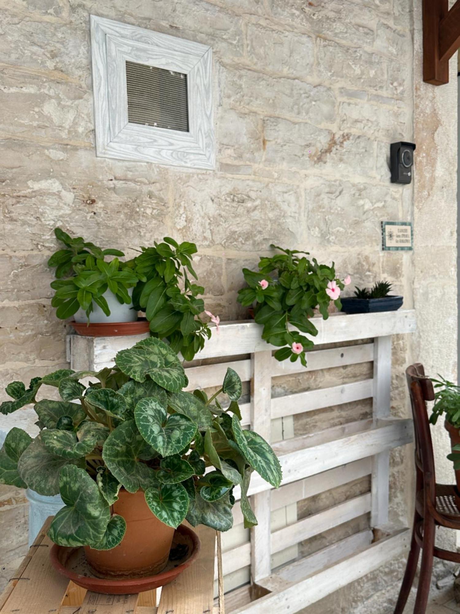 I Cavalieri Vila Terlizzi Exterior foto